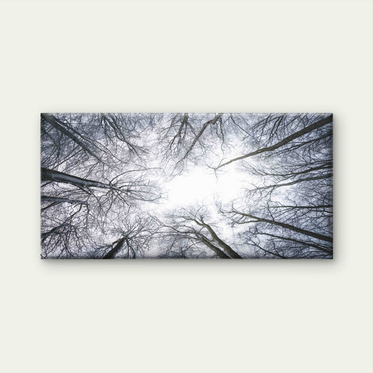 Bare Trees Sky Landscape Wall Art Canvas Office Home Room Framed 80x45cm