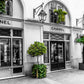 l Fashion Store Front B&W and Green Trees Print 100% Australian Made Stretched Canvas Ready to Hang - FS - 167