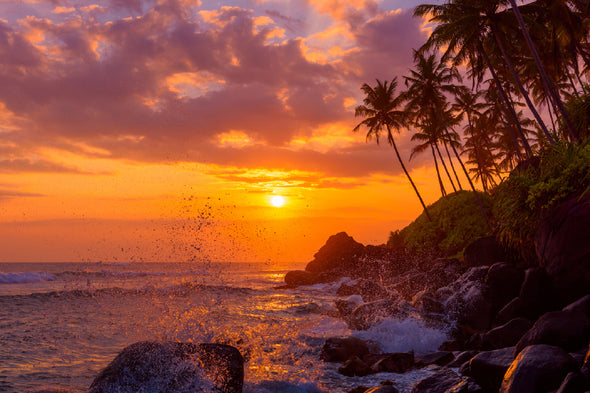 Sunset Beach With Palm Trees & Rocks Print 100% Australian Made Stretched Canvas Ready to Hang - BC-104