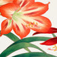 Red Amaryllis Lily Botanical Wall Art Canvas Office Home Room Framed 120x60cm