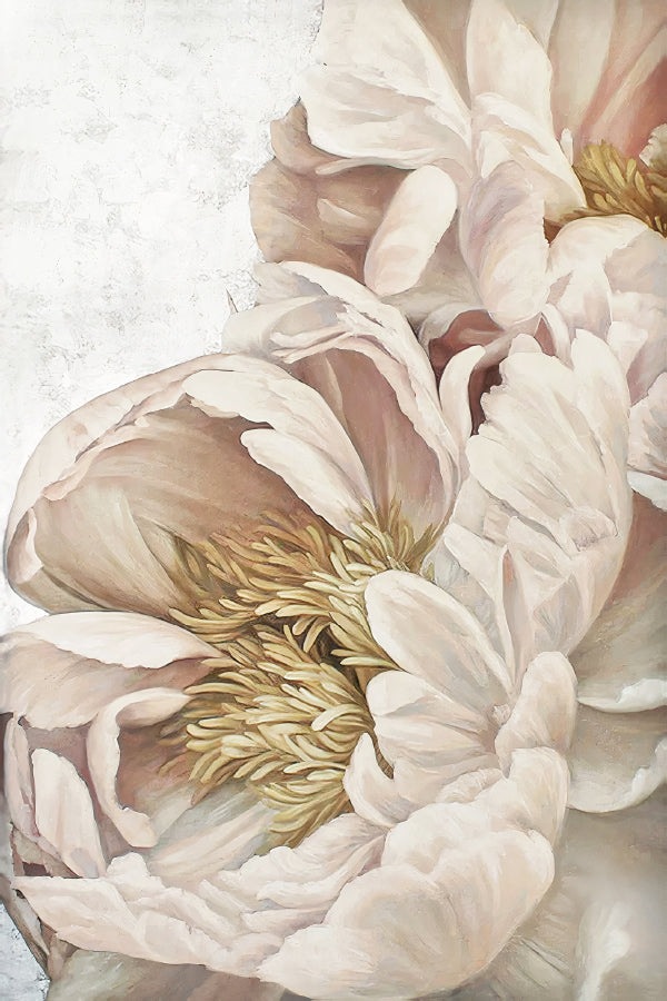 Beauty Of Calm Pink Peony Flowers Print 100% Australian Made 40x60cm Stretched Canvas Ready to Hang