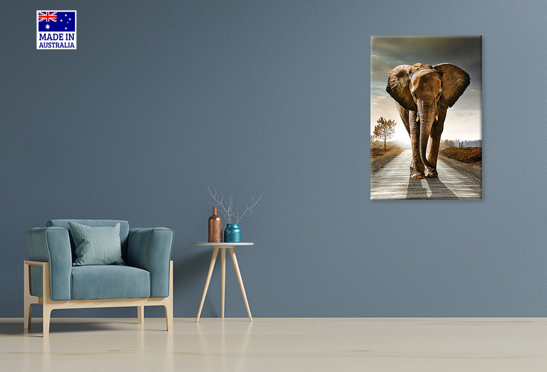 Majestic Elephant Strolling Down Road Print 100% Australian Made 40x60cm Stretched Canvas Ready to Hang