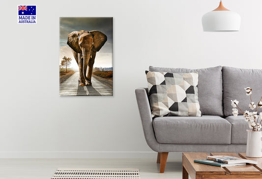 Majestic Elephant Strolling Down Road Print 100% Australian Made 40x60cm Stretched Canvas Ready to Hang