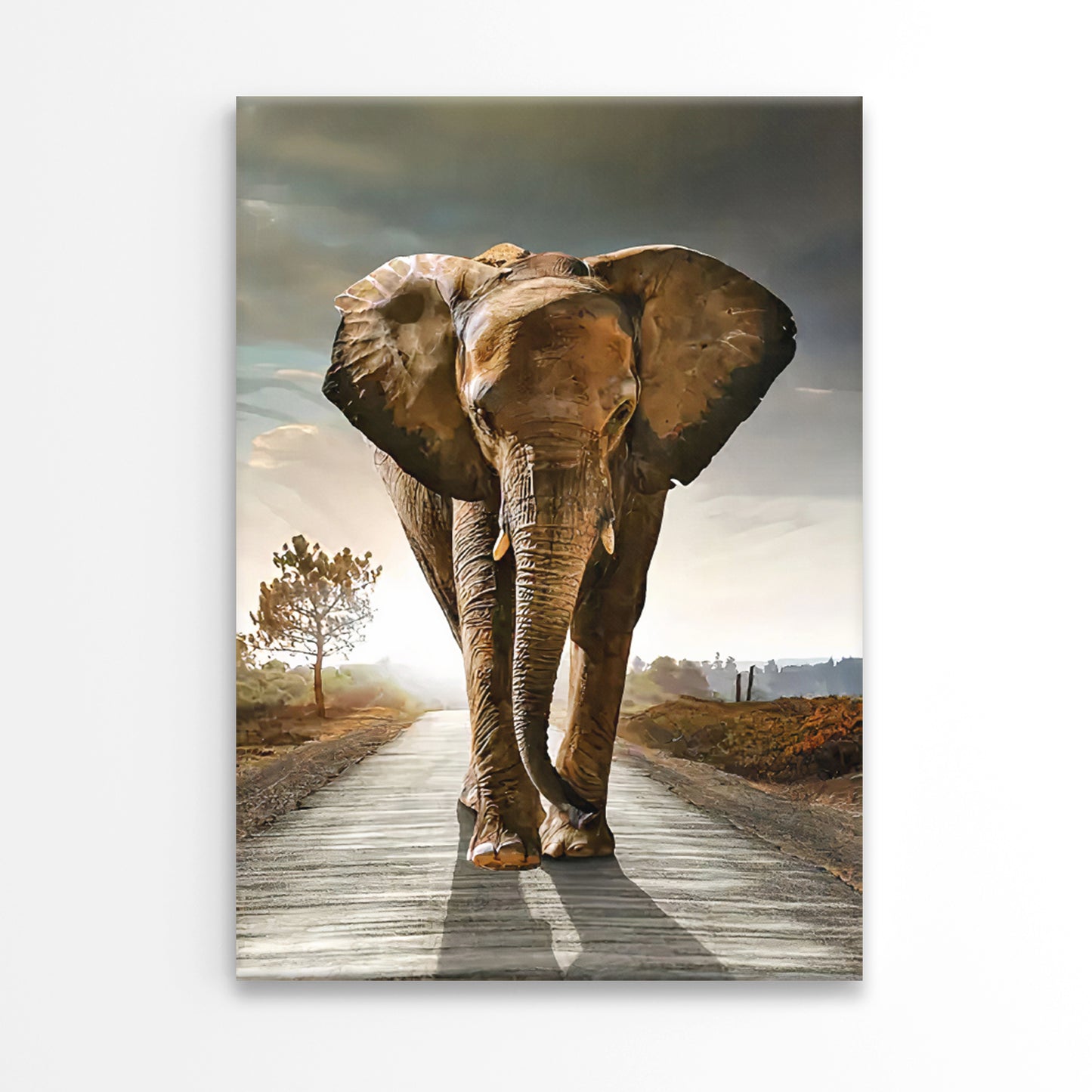 Majestic Elephant Strolling Down Road Print 100% Australian Made 40x60cm Stretched Canvas Ready to Hang