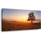 Lasdel Alone Tree Meadow Sunset Beautiful Nature Scenery Wall Art canvas office home room framed 120x60cm