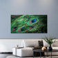 Vibrant Peacock Feather Eyes Wall Art Canvas Office Home Room Framed 80x45cm