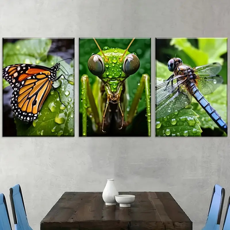 3pcs Nature Creatures Close-Up Animal Art Wall Art Set Canvas Framed 40x60cm - High Quality Print 100% Australian Made Wall Canvas Ready to Hang