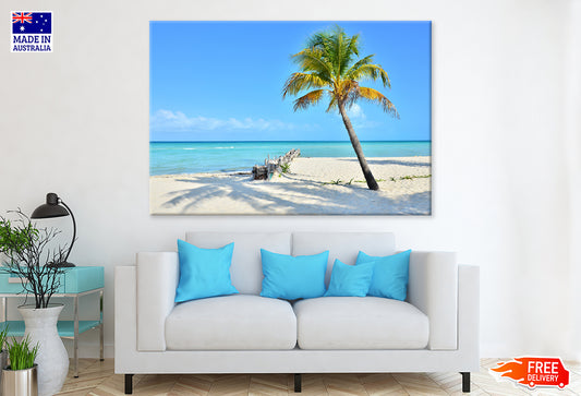 Coconut Palm Tree On Beach Print 100% Australian Made Stretched Canvas Ready to Hang - BC-105