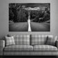 Trees Black Silhouettes Print 100% Australian Made Stretched Canvas Ready to Hang - BW-105