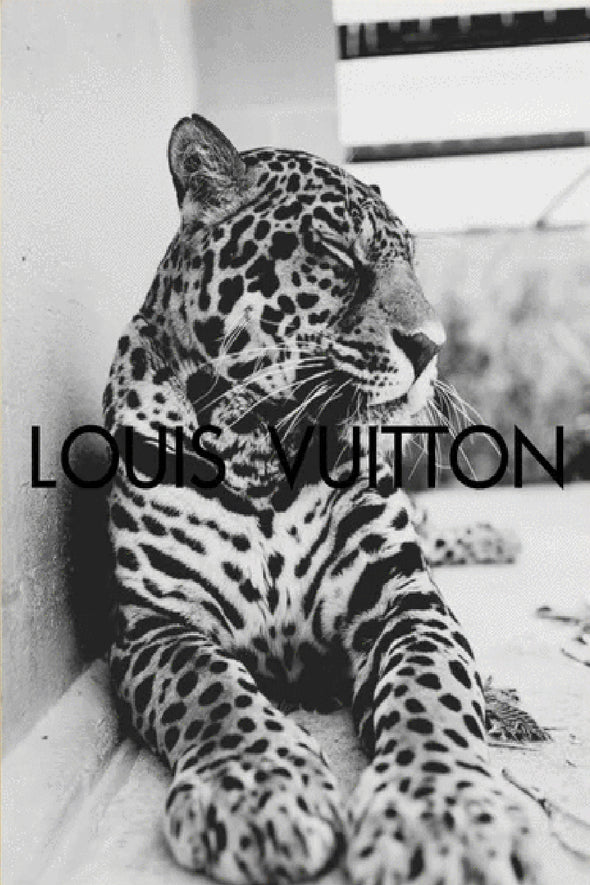 B&W Leopard Fashion Design Print 100% Australian Made Stretched Canvas Ready to Hang - FS - 119