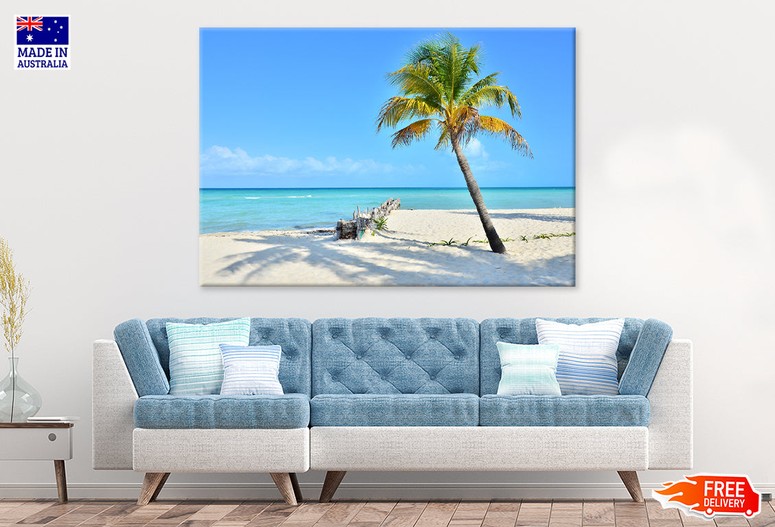 Coconut Palm Tree On Beach Print 100% Australian Made Stretched Canvas Ready to Hang - BC-105