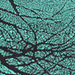 Teal Organic Cellular Pattern Wall Art Canvas Office Home Room Framed 120x60cm