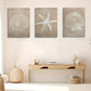 3pcs Modern Geometric Seashells & Starfish Metal Print Ready to Hang Art