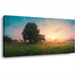 Spring Panoramic Sky Fluffy Clouds Over Green Field Wall Art canvas office home room framed 120x60cm