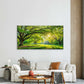Sunshine Filtering Through TreesWall Art Canvas Office Home Room Framed 120x60cm