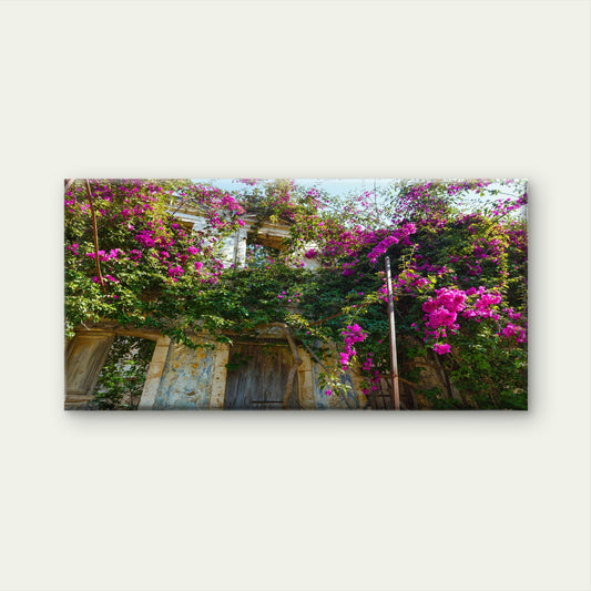 Nature Reclaims The Old Wall Art Canvas Office Home Room Framed 80x45cm