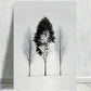 Black & White Tree Print 100% Australian Made 40x60cm Stretched Canvas Ready to Hang