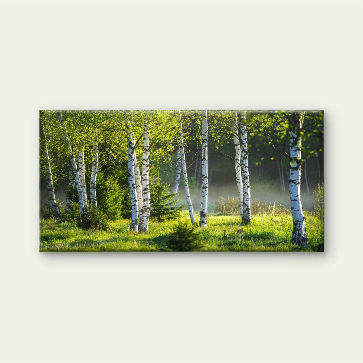 Sunlight Filtering Through Tree Wall Art Canvas Office Home Room Framed 80x45cm