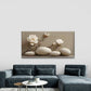 Magnolia Flower with a Rounded Wall Art Canvas Office Home Room Framed 80x45cm