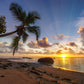 Paradise Beach With Palms & Sunrise Print 100% Australian Made Stretched Canvas Ready to Hang - BC-106