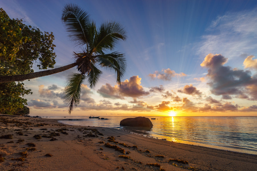 Paradise Beach With Palms & Sunrise Print 100% Australian Made Stretched Canvas Ready to Hang - BC-106