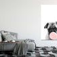 Pug Dog with Balloon Fashion Print 100% Australian Made Stretched Canvas Ready to Hang - FS - 120