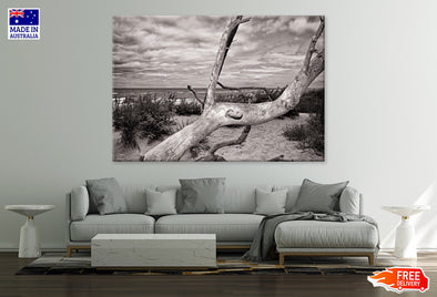 Mecklenburg Baltic Sea Coast Print 100% Australian Made Stretched Canvas Ready to Hang - BW-106