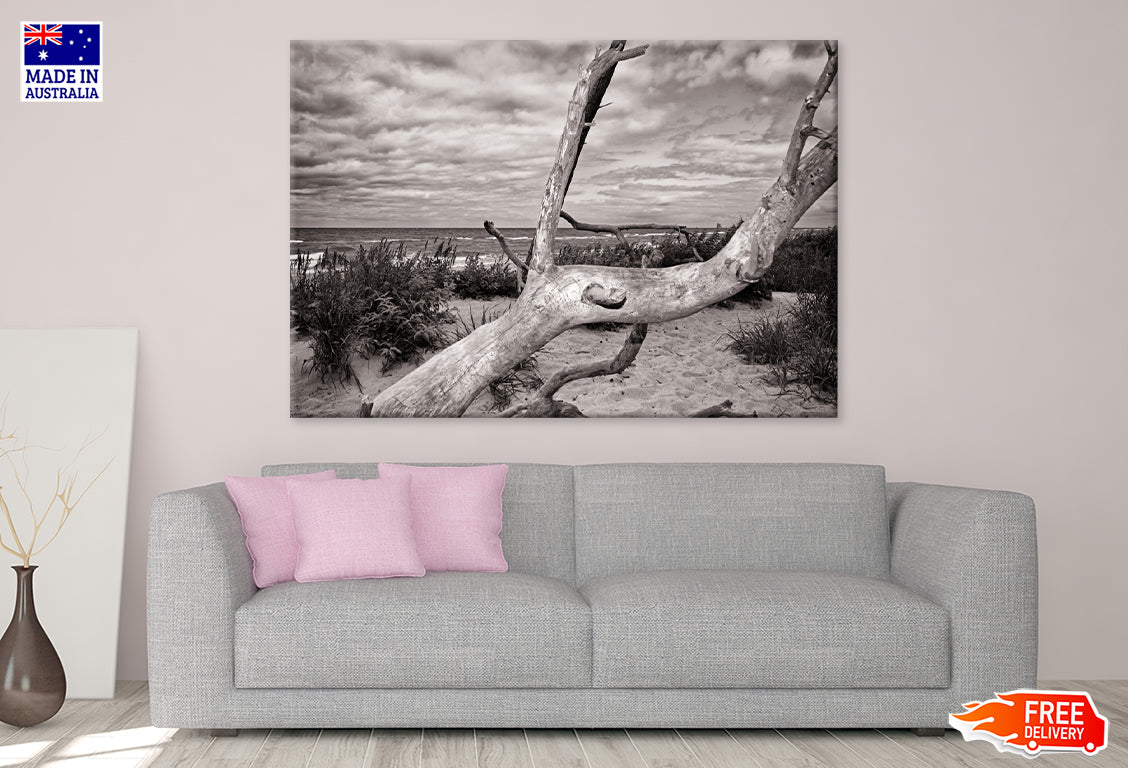 Mecklenburg Baltic Sea Coast Print 100% Australian Made Stretched Canvas Ready to Hang - BW-106