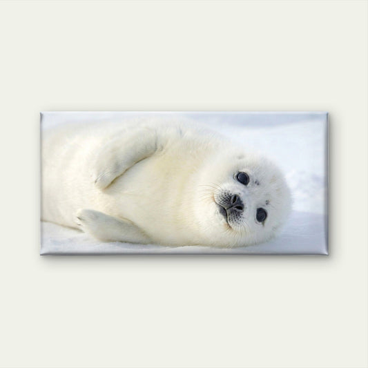 Baby Harp Seal Snow Arctic Wall Art Canvas Office Home Room Framed 80x45cm