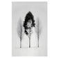 Black & White Tree Print 100% Australian Made 40x60cm Stretched Canvas Ready to Hang