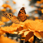Orange Butterfly Flower Garden Wall Art Canvas Office Home Framed 120x60cm