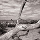 Mecklenburg Baltic Sea Coast Print 100% Australian Made Stretched Canvas Ready to Hang - BW-106