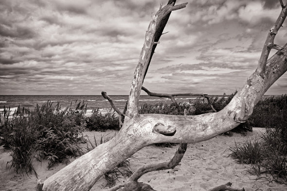 Mecklenburg Baltic Sea Coast Print 100% Australian Made Stretched Canvas Ready to Hang - BW-106