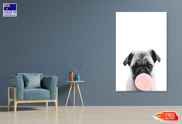 Pug Dog with Balloon Fashion Print 100% Australian Made Stretched Canvas Ready to Hang - FS - 120