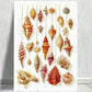 Color Sea Shells Paint Print 100% Australian Made 40x60cm Stretched Canvas Ready to Hang