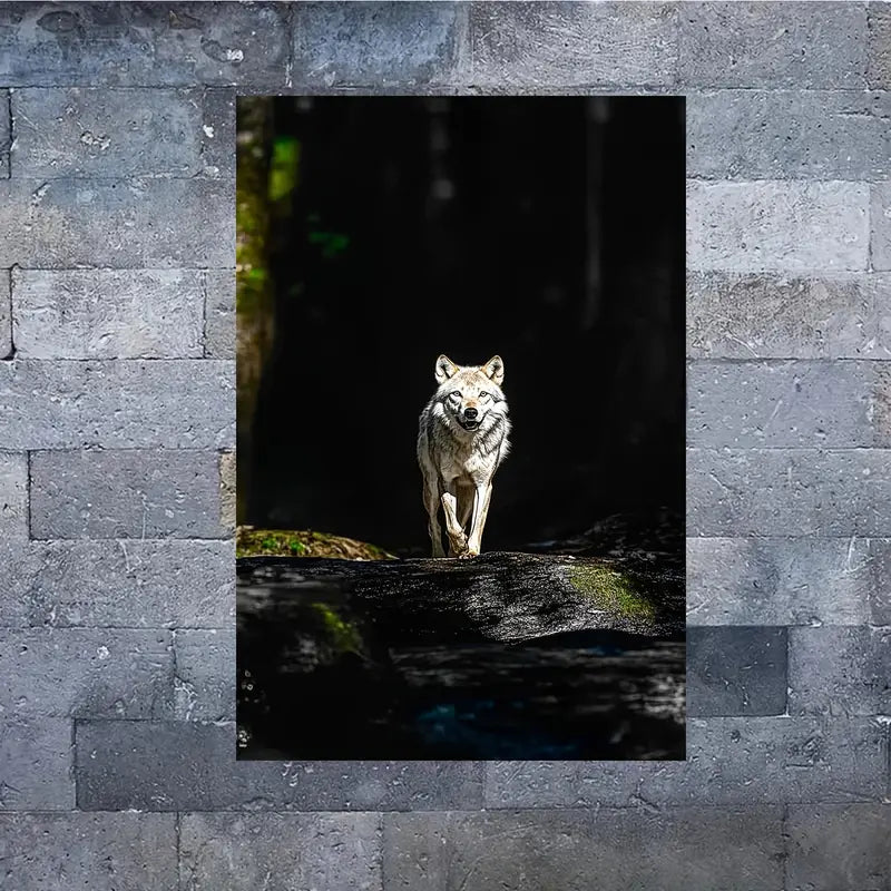 White Wolf & Forest View Print 100% Australian Made 40x60cm Stretched Canvas Ready to Hang