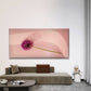 Single Allium Flower Wall Art Canvas Office Home Room Framed 120x60cm