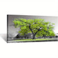 Life Lime Green Tree Landscape Wall Art canvas office home room framed 120x60cm