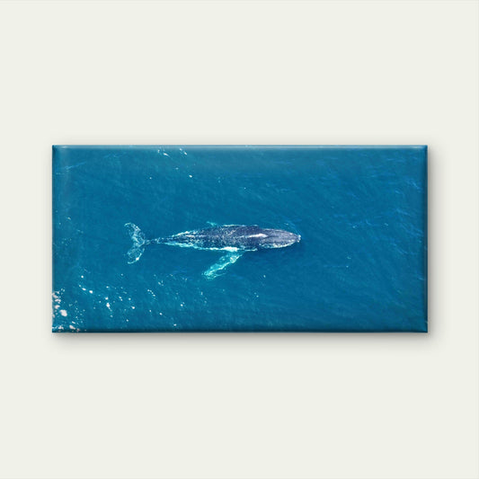 Blue Whale Sea Landscape Wall Art Canvas Office Home Room Framed 80x45cm