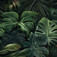 Dark Green Monstera Jungle Wall Art Canvas Office Home Room Framed 120x60cm