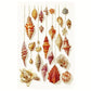 Color Sea Shells Paint Print 100% Australian Made 40x60cm Stretched Canvas Ready to Hang