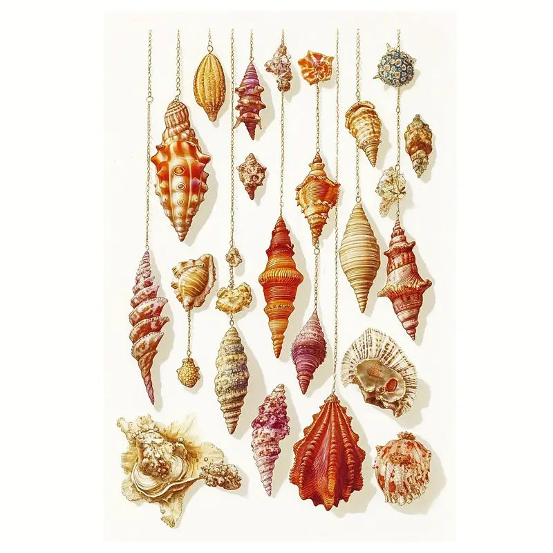 Color Sea Shells Paint Print 100% Australian Made 40x60cm Stretched Canvas Ready to Hang