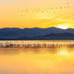 Sunset Lake Birds Flying Horizon Wall Art Canvas Office Home Room Framed 80x45cm