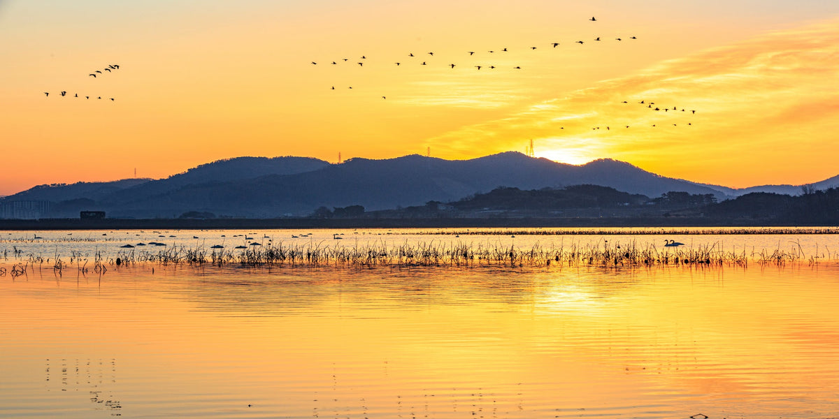 Sunset Lake Birds Flying Horizon Wall Art Canvas Office Home Room Framed 80x45cm