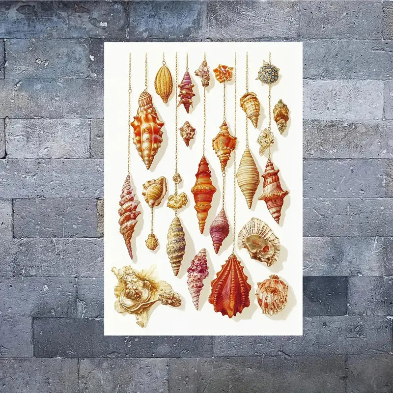 Color Sea Shells Paint Print 100% Australian Made 40x60cm Stretched Canvas Ready to Hang