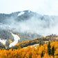 Foggy Mountain & Autumn Trees Print 100% Australian Made Stretched Canvas Ready to Hang - NT-107