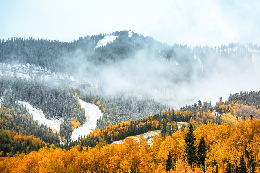 Foggy Mountain & Autumn Trees Print 100% Australian Made Stretched Canvas Ready to Hang - NT-107