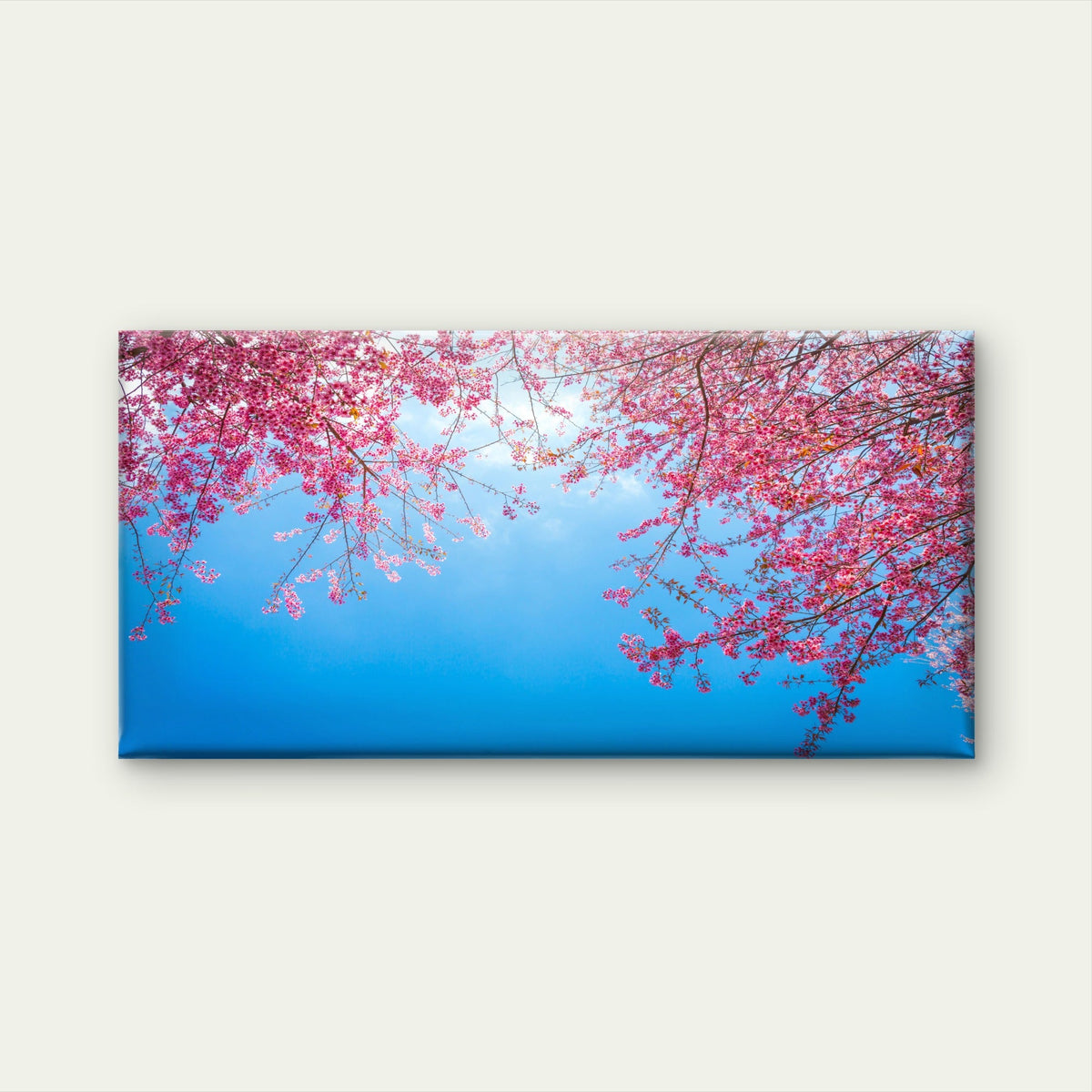 Pink Blossoms Blue Sky Wall Art Canvas Office Home Room Framed 80x45cm