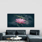 Beautiful Blooming Pink Lotus Wall Art Canvas Office Home Room Framed 120x60cm