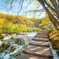 Wooden Pier & Waterfall in Forest Print 100% Australian Made Stretched Canvas Ready to Hang - NT-108